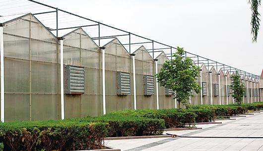 規(guī)模大，質(zhì)量好