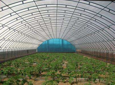 技術(shù)專業(yè)，服務(wù)到位