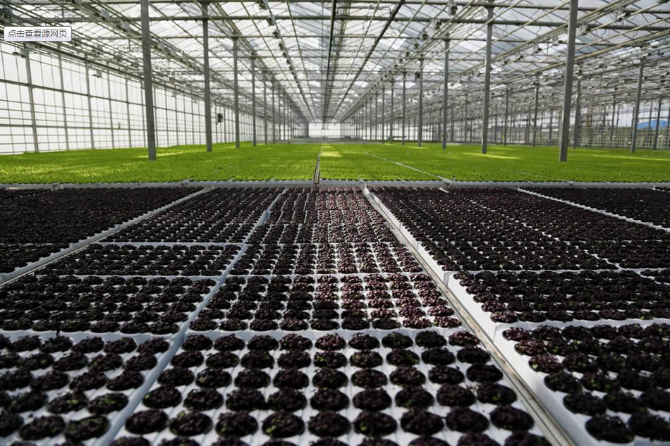 實力雄厚，品質(zhì)保證！