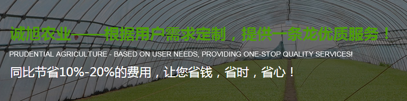 陜西蔬菜大棚價格