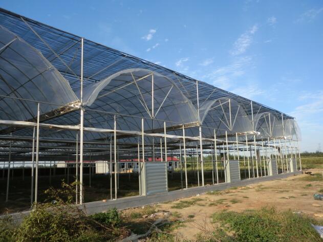 陜西溫室大棚突然遇到冰雹天氣該如何避免？